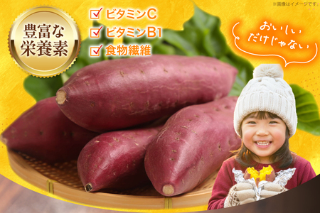 【大人気！】 さつまいも なると金時 5kg