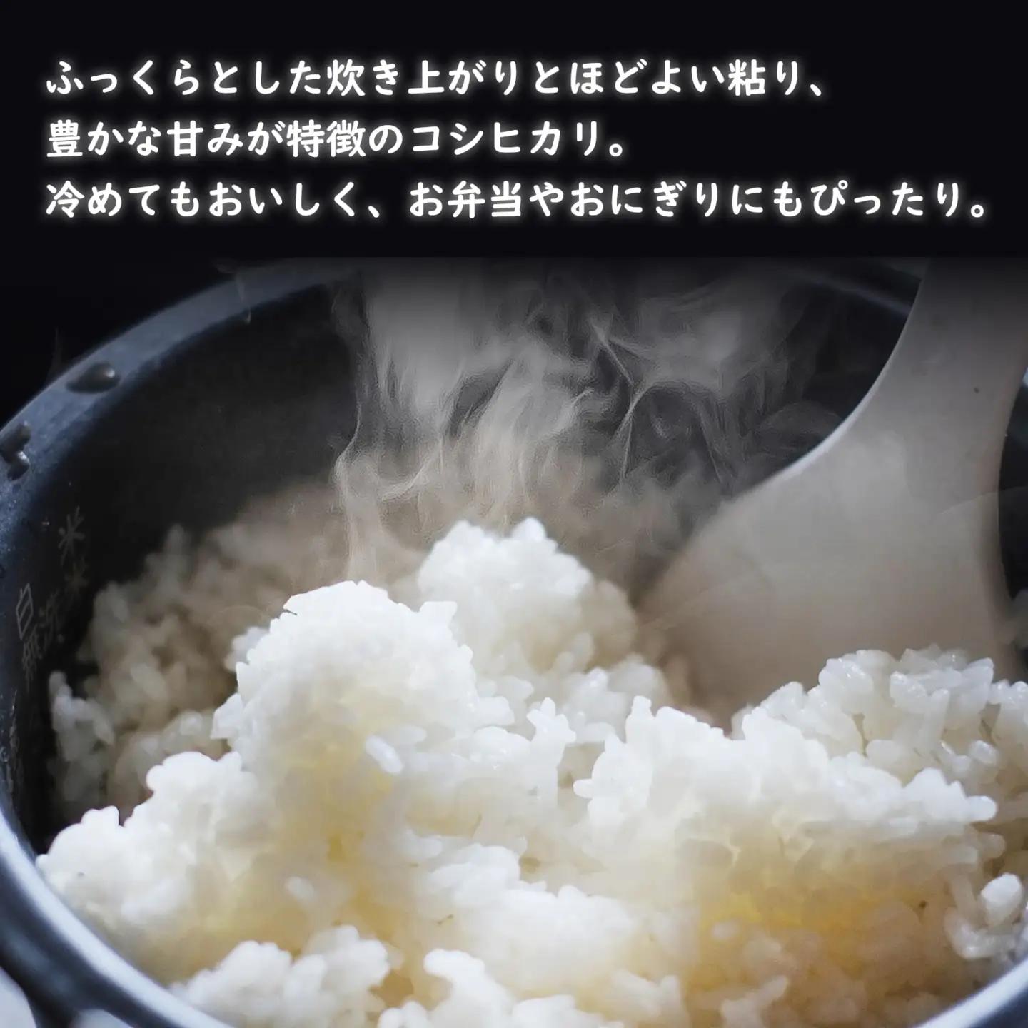 令和7年産 / 白米 《50個限定》　令和7年産 茨城県 境町産 コシヒカリ 5kg 2025年産 S275