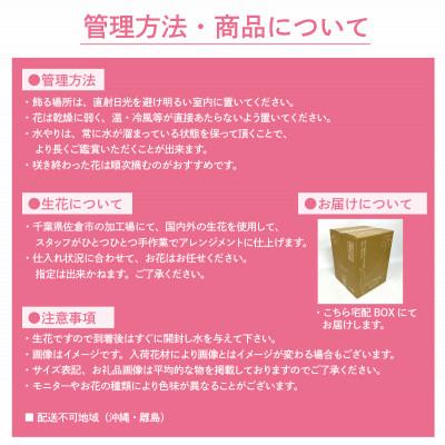 ふるさと納税 佐倉市 生花お任せアレンジメントM 白・ブルー系 お祝いやお誕生日におすすめ |  | 03