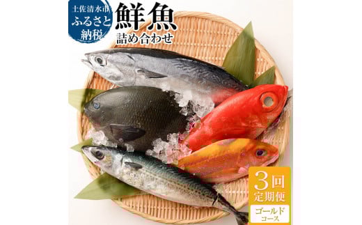 <3回定期便> 季節の鮮魚 おまかせお楽しみセット（ゴールドコース）鮮魚 ボックス 詰め合わせ 天然魚 食べ比べ 魚介類 海鮮料理 魚 新鮮 刺し身 煮付け お楽しみ 定期便 3ヶ月 高知 【J00047】