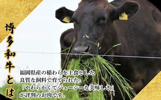 【訳あり】A5,4等級 博多和牛ヒレ焼肉 600g [HS028-1] 久田精肉店【福岡県須恵町】