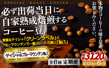 必ず出荷日に自家熟成焙煎ゲイシャ豆(320g)･ブルーマウンテン№.1豆(200g)【6回定期便】