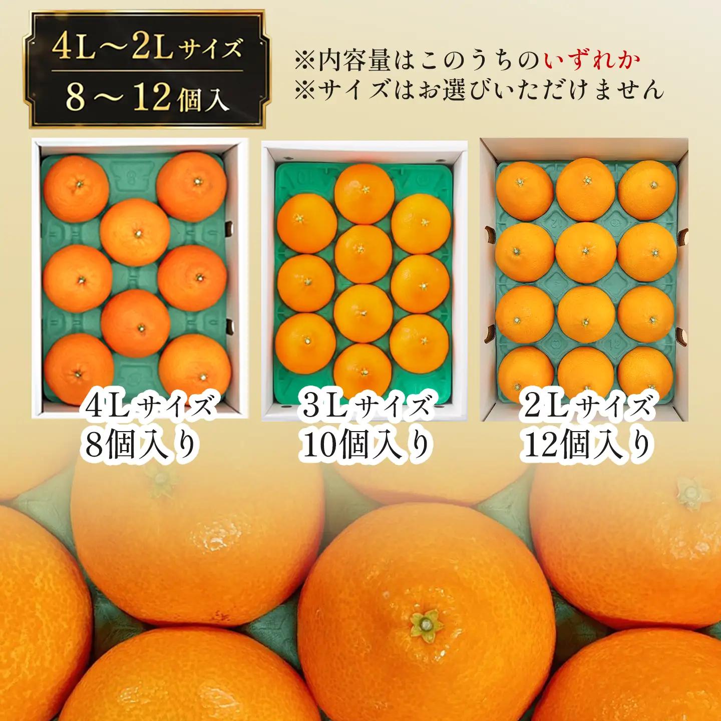 紅まどんな 3㎏（青秀・8～12個入・4L～2Lサイズ）｜柑橘 まどんな【JA東園】