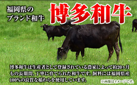 博多和牛 切り落とし＋ミンチ 1.4kg《90日以内に出荷予定(土日祝除く)》 株式会社POWER EAST CONNECTION 福岡県 鞍手郡 鞍手町 和牛 牛肉 豚肉 あいびき 小分け カレー 