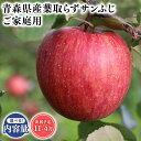 【ふるさと納税】≪内容量が選べる!≫ 青森県産 訳あり 葉とらずサンふじ 3kg 5kg 10kg 【青森県 平川市 そと川りんご園】11月〜4月発送 家庭用 青森 青森県産 平川 りんご リンゴ 林檎 くだもの 果物 フルーツ 葉とらず サンふじ ふじ レビューキャンペーン