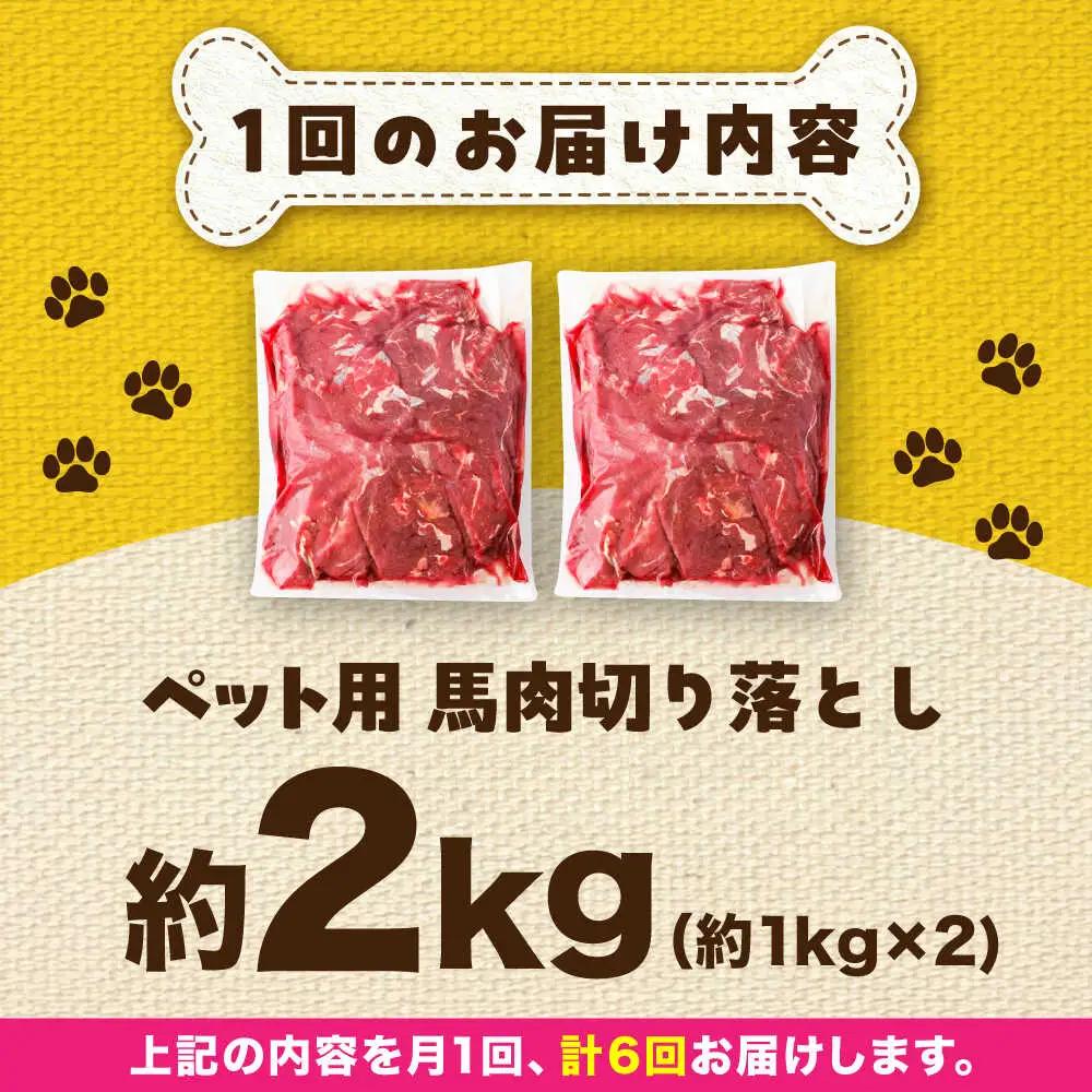 【全6回定期便】国内加工 ペット用 馬肉 切り落とし 約2kg ペット用 BHCY059
