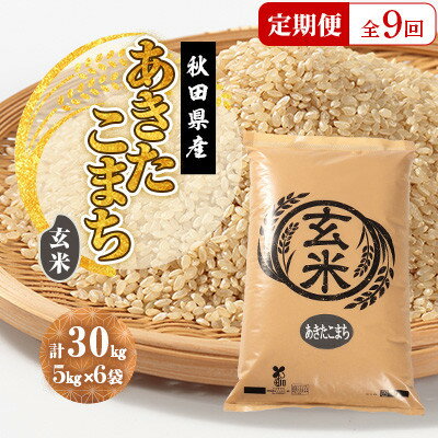【ふるさと納税】【毎月定期便】あきたこまち 玄米 30kg(5kg×6袋)全9回【配送不可地域：離島・沖縄県】【4080853】