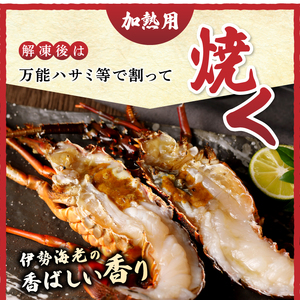 伊勢海老 三昧セットB 刺身用＋焼物用 (a80-031)