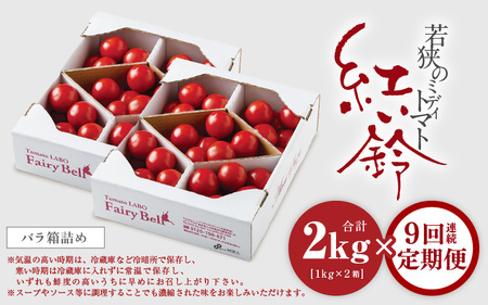 定期便 ≪9ヶ月連続お届け≫じゅわっと極旨のフルーツミディトマト 約1kg (バラ箱詰め) ×２箱【 とまと トマト フルーツトマト ミニトマト トマトジュース 野菜 やさい 人気 新鮮 産地直送 甘