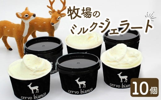 ジェラート ミルクジェラート 『奈良の大人気店cervo biancoの濃厚ミルクジェラート 10個セット』 チェルボビアンコ ジェラート セット 詰め合わせ ソフトクリーム ソフト アイスクリーム アイス ジェラート 奈良 スイーツ 人気 ランキング お菓子 洋菓子 デザート セット 詰合せ 奈良県 奈良市 I-168