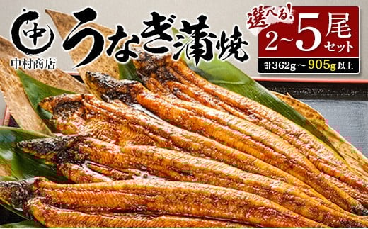 
            中村商店 うなぎ蒲焼セット 2尾～5尾（計362g以上～905g以上）特製たれ・お吸い物付
          