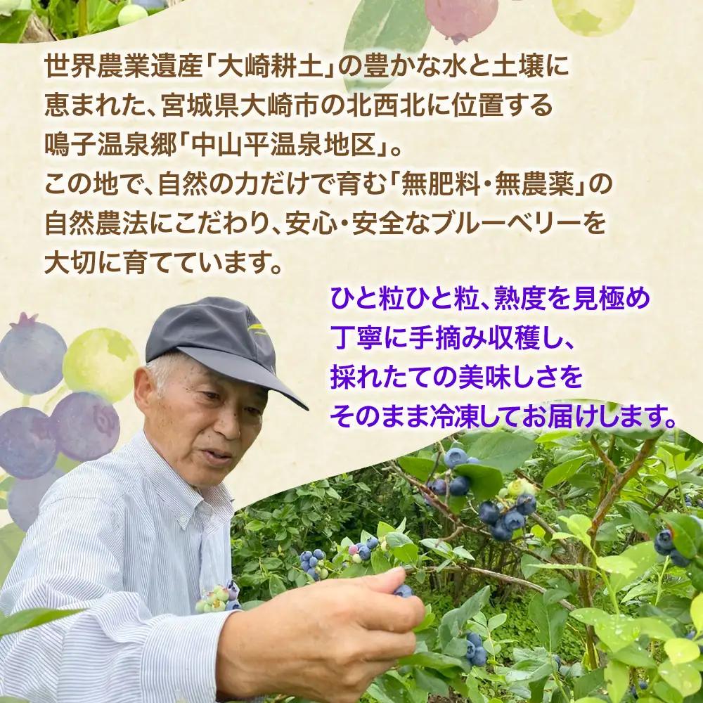 冷凍ブルーベリー 1kg [ku001-1kg] ベリー