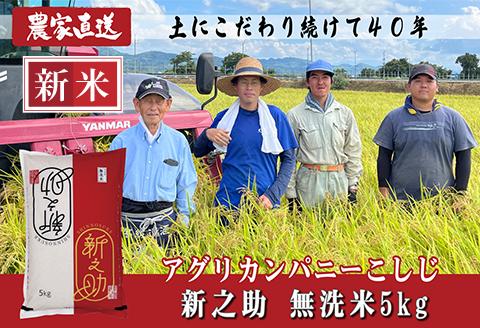 J8-7MS051新潟県長岡産　新之助　無洗米5kg