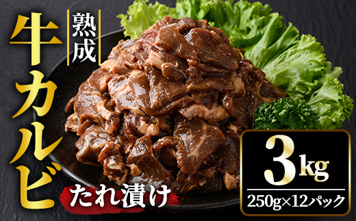 熟成牛カルビ 3kg (250g×12パック) たれ 味付 小分け 冷凍 焼肉 焼き肉 牛 牛肉 ビーフ カルビ BBQ 【そうざい男しゃく（株式会社池延）】【ho1473】