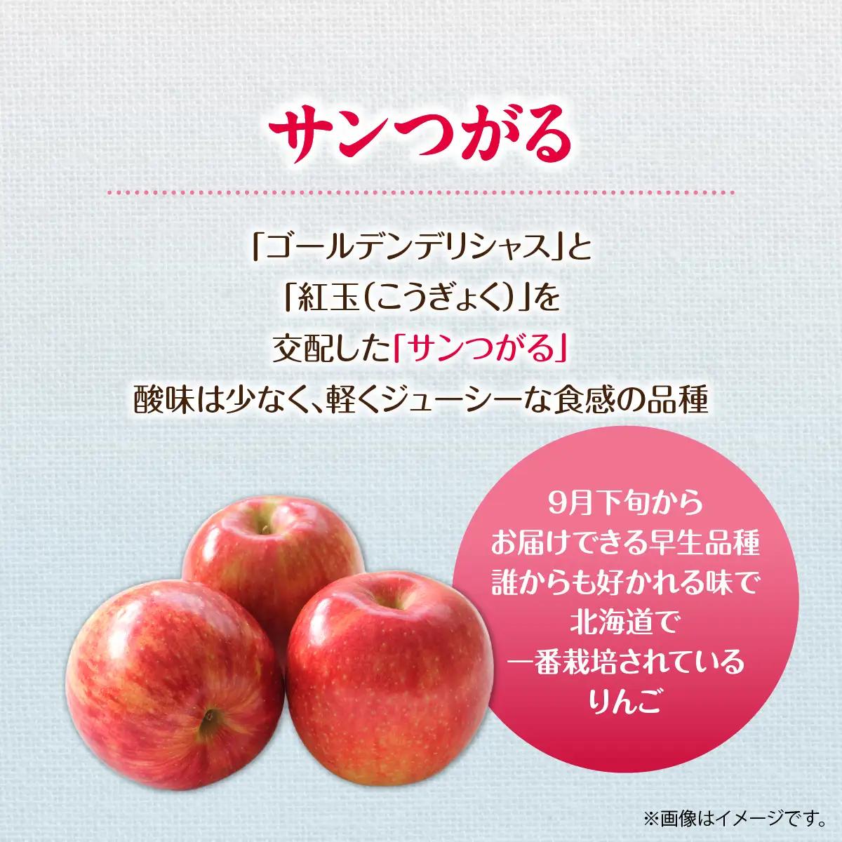 【先行予約】北海道壮瞥町産りんご「サンつがる」約3kg(8～11玉)＜2026年9月下旬よりお届け＞ SBTF001