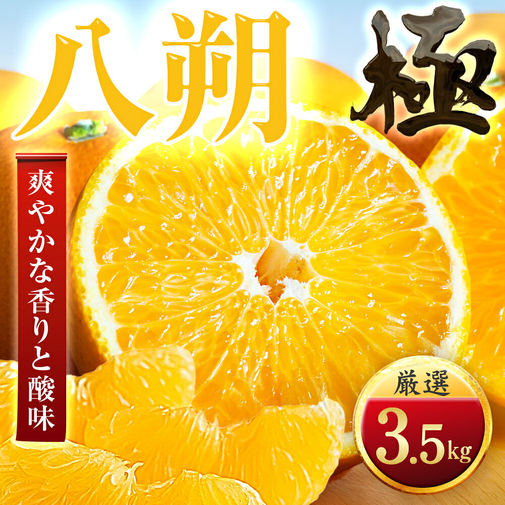 【ふるさと納税】【先行受付】【ほろ苦さが旨い】大人の柑橘 八朔　3.5kg　愛媛県産【49-118】ふるさと納税 みかん 柑橘 果物 フルーツ おすすめ はっさく 八朔 3.5kg 6kg 12kg 愛媛県 八幡浜市 【1741174】YWTZ093