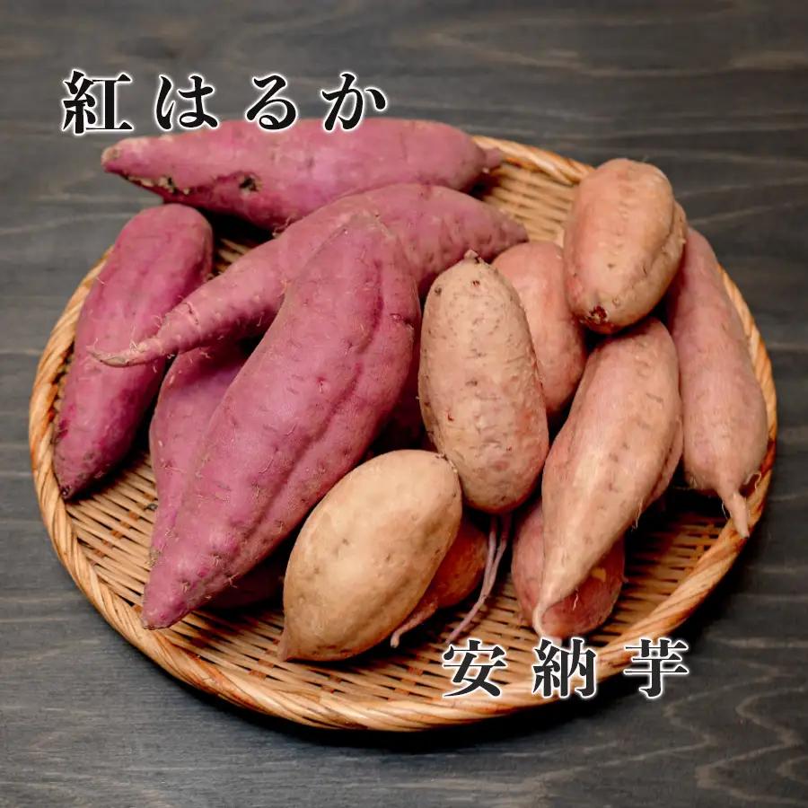 さつまいも 食べ比べ 約7kg 紅はるか 安納芋 各約3.5kg 熟成 焼き芋 焼芋 やきいも しっとり ねっとり 蜜芋 芋 おいも サツマイモ さつま芋 べにはるか 安納いも スイーツ おやつ 国産