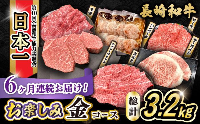 【6回定期便】長崎和牛お楽しみセット 金コース（シャトーブリアン・サーロインステーキ・長崎和牛入りハンバーグ・焼き肉用 カルビ・ロース・モモ） / 牛肉 ハンバーグ はんばーぐ おかず 惣菜 小分け 