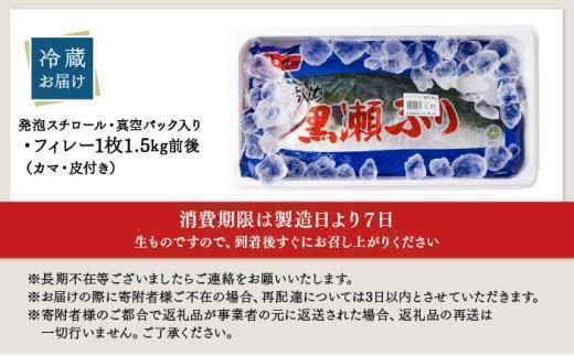 KRBF15 活じめ！黒瀬ぶりの生鮮ブリフィレー 1.5kg前後 (2026年5月発送)