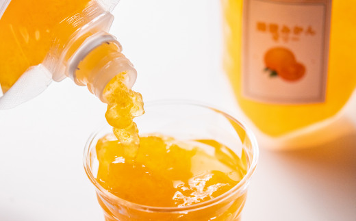 贅沢みかんゼリーパウチ170ｇ×6個セット　飲めるゼリー 西都市産「陽蜜みかん」使用＜1.5-6＞果物 くだもの フルーツ デザート おやつ ギフト 宮崎県西都市