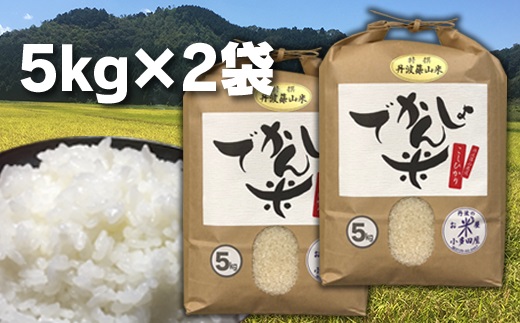 【令和7年産 2025年9月以降順次発送】丹波篠山の地醤油漬、佃煮セット　令和6年産 でかんしょ米5kg×２と実山椒・山蕗