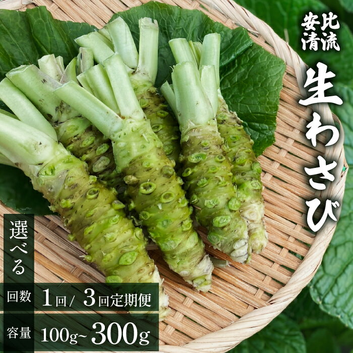 【ふるさと納税】 岩手県産 わさび 山葵 安比清流山葵園 生わさび 選べる容量 100g 200g 300g 400g 選べる発送回数 単発便（1回） 3ヶ月定期便 ／ 新鮮 生山葵 生ワサビ 生 ワサビ 調味料 薬味 和食 刺身 辛味 蕎麦 料理 お肉 産地直送 おすすめ 岩手県 八幡平市 送料無料