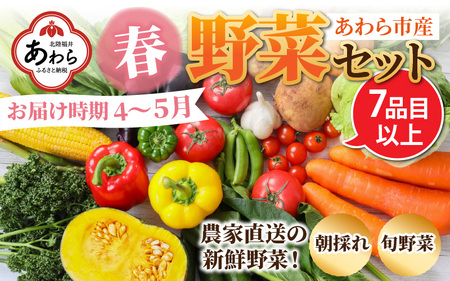 【先行予約】農家直送 春野菜セット 1箱 7品目以上 《元気に育った新鮮野菜！》／ 季節 春 野菜 ボックス BOX セット セレクト 農家 おまかせ 多品目 旬 詰め合わせ  ※2025年4月下旬以降発送