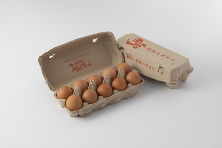 【定期便】赤たまご 20個 × 12回 定期便 定期 京都 こだわり卵 卵 たまご 濃い 玉子 セット 玉子焼き 卵焼き オムレツ 卵かけご飯 ゆで卵 鶏卵 卵黄 玉子スープ 玉子サンド 玉子焼き 玉