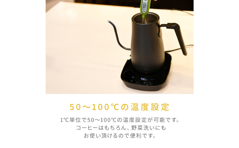 温度調節機能付き電気ケトル（1000W/0.8L） EKG-C801(B) 77678