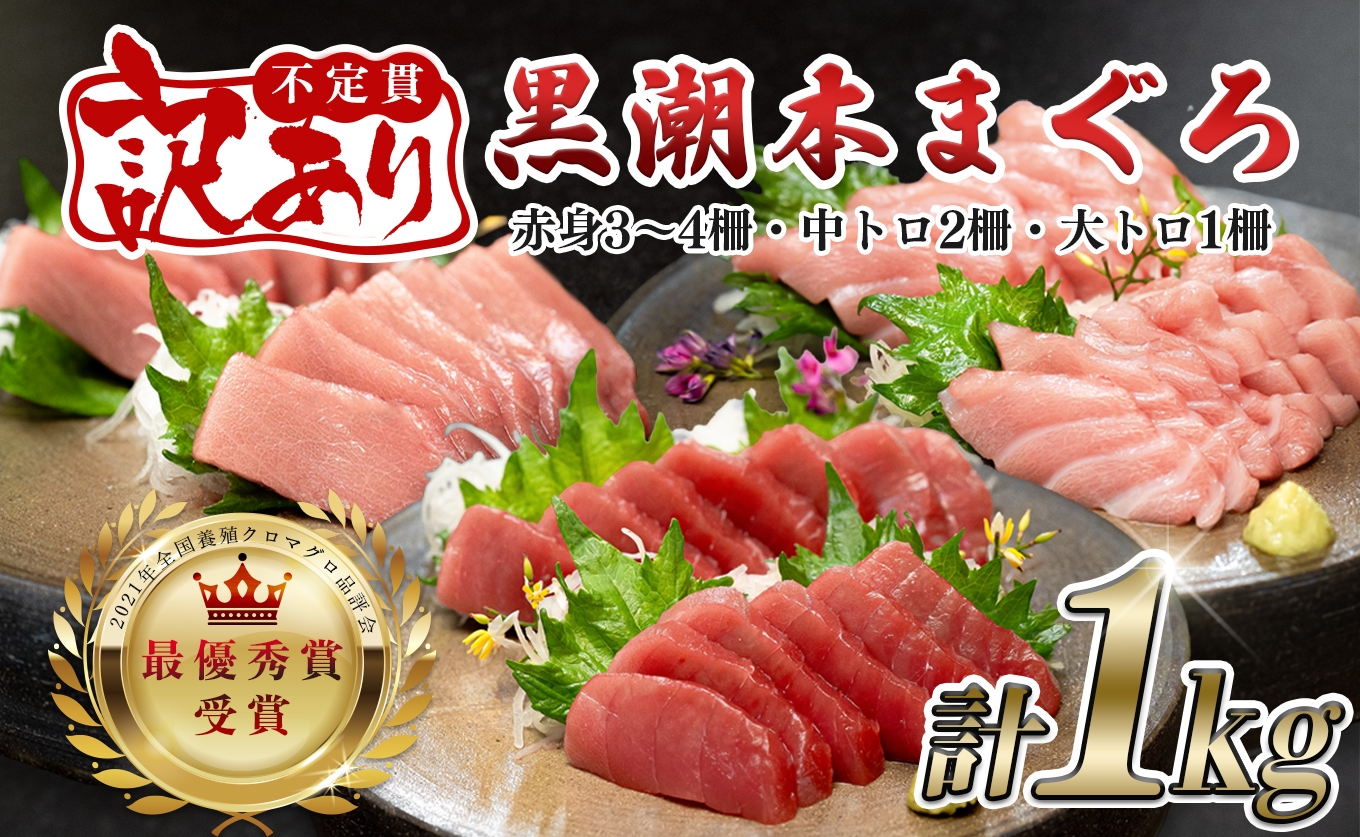 
                  【訳アリ】養殖本マグロ 赤身 中トロ 大トロ 3種セット 1kg 黒潮本まぐろ｜不定貫 不揃い 2種 刺身用 家庭用 養殖まぐろ 最優秀賞受賞 日本一 配達日指定可 本まぐろ まぐろ 鮪 訳あり ワケあり 小分け 丼 寿司 海鮮 魚 柵 産地直送
                