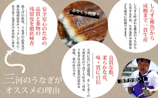 【期間限定】三河産　超特大うなぎ「蒲焼冷凍×2尾」・A090-17