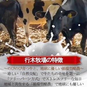 【行木牧場のアイスクリーム】牧場おすすめ12個セット「しぼりたて牛乳で作りました」ZE-3rr【配送不可地域：離島】【1491609】