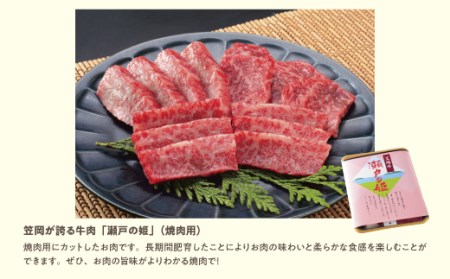 瀬戸の姫 300g（焼肉用） 牛肉 肉