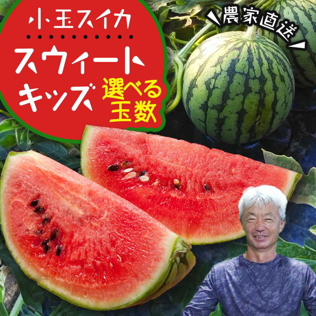 【ふるさと納税】小玉 スイカ スウィートキッズ 2玉 4玉 2026年 先行予約 小玉スイカ すいか 西瓜 こだますいか フルーツ 果物 くだもの 農家直送 旬 甘い ギフト 人気 産直