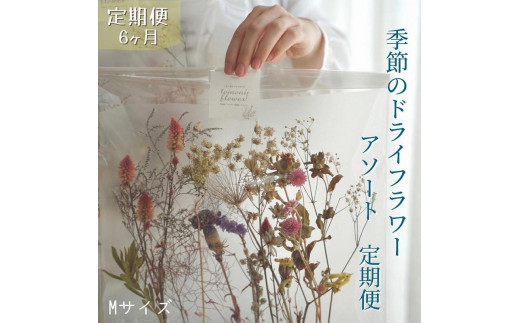 
《定期便 6ヵ月》季節のドライフラワーアソートM スワッグ 花束 ドライフラワー【らんまん 花 植物 お花 アレンジメント 高知 人気 おすすめ 送料無料】
