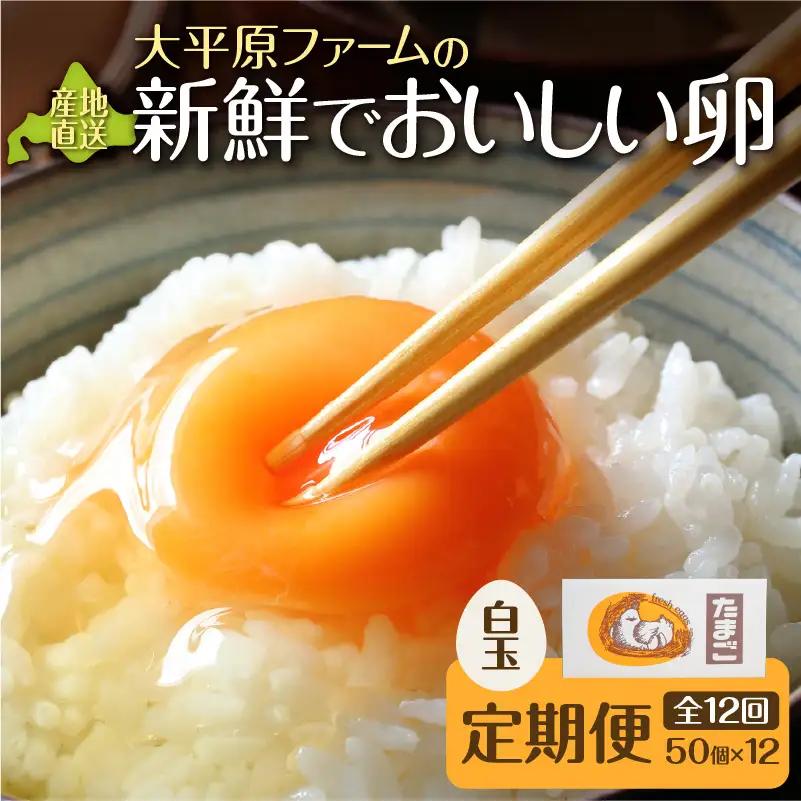 【12回定期便】大平原ファームの新鮮でおいしい卵 計50個(白卵)×12ヶ月【 北海道 清水 卵 600個 こだわり卵 卵かけご飯 玉子 タマゴ 卵焼き TKG 温泉卵 オムレツ ゆでたまご 栄養満点  国産 定期便 】_S035-0022