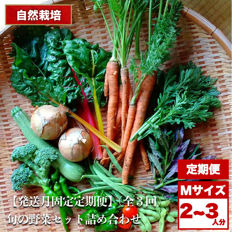 【ふるさと納税】【3回定期便】2026先行予約 自然栽培 旬の野菜セット 詰め合わせ Mサイズ 2〜3人分 ｜ 野菜 セット 詰め合わせ 自然栽培 農薬不使用 旬 やさい サラダ 採れたて とれたて 新鮮 季節限定 長野県 飯田市 信州