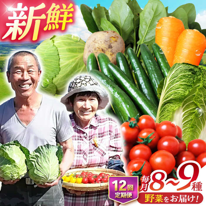 【ふるさと納税】【全12回定期便】諫早産野菜の詰め合わせ 8〜9品目程度 / 季節 旬 野菜 やさい 春野菜 夏野菜 秋野菜 野菜セット 詰め合わせ 野菜定期 野菜定期便 定期便 / 諫早市 / 肥前グローカル株式会社 [AHDI003]