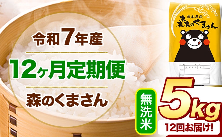 
                  【12ヶ月定期便】 令和7年産 無洗米  森のくまさん 5kg 5kg×1袋  《お申し込みの翌月から出荷》 熊本県産 無洗米 精米 米 こめ コメ お米 kome
                