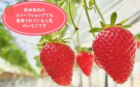 冷凍いちご 秋田県産 冷凍いちご【4kg(500g×8)】【冷凍】