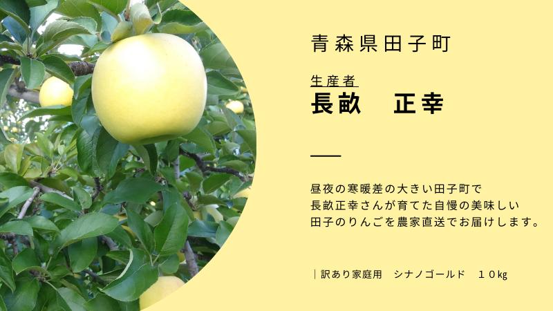 1月 田子の家庭用シナノゴールド 約10kg【訳あり】【青森りんご・長畝正幸さん生産直送・1月】