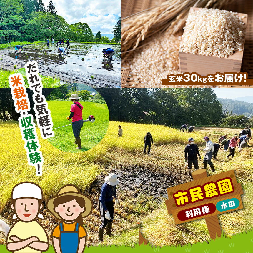 【ふるさと納税】市民農園・利用権（水田） | お米作り体験 お米作り 農作業体験 農作業 田んぼ仕事体験 田んぼ 農園 田 アクティビティ 木島平村 長野県 信州 北信州