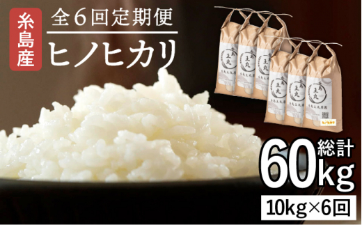 【3分づき米】【全6回定期便】糸島産 ヒノヒカリ 10kg×6回 糸島市 / 糸島王丸農園 ( 谷口汰一 )【いとしまごころ】 [AAZ016-4]