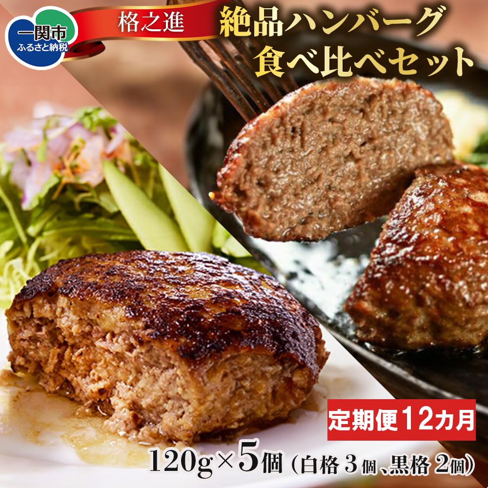 【定期便/12ヶ月】《格之進》絶品ハンバーグ【白格・黒格】食べ比べセット(120g×白格3個 黒格2個)計5個×12回お届け