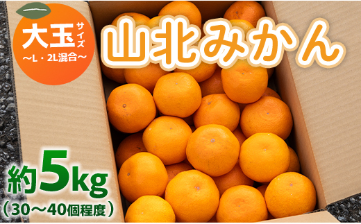 
            山北みかん 大玉サイズ L・2L混合 約5kg（30～40個程度） 山北みらい - 果物 フルーツ 柑橘類 温州みかん ミカン 蜜柑 甘い おいしい 美味しい 高知県 香南市 yk-0045
          