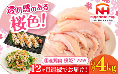 【全12回定期便】桜姫 ささみ 計4kg（2kg×2パック）【東日本フード株式会社】 国産 鶏 とり肉 ささみ ササミ 冷凍 北海道 [AXBM075]