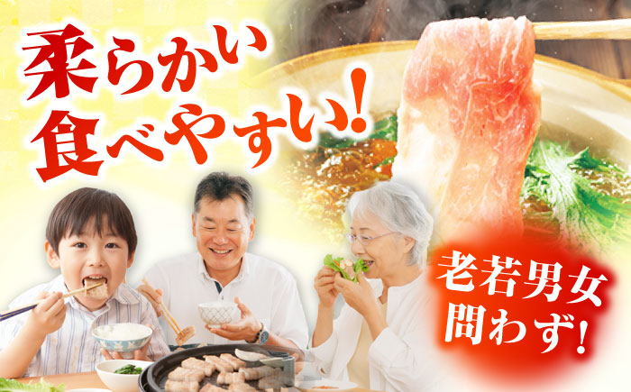 【3回定期便】五島美豚薄切り1kg（ロース500g/バラ500g） 五島市/ごとう農業協同組合[PAF008] 冷凍 国産豚 豚肉 ブランド豚