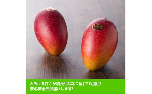 【令和8年発送】宮崎県産完熟マンゴー「おひさまハニーマンゴー」2L（大）×2玉 【 果物 フルーツ マンゴー 宮崎県産 完熟マンゴー みやざきマンゴー 先行予約 数量限定 期間限定 】[C03304]