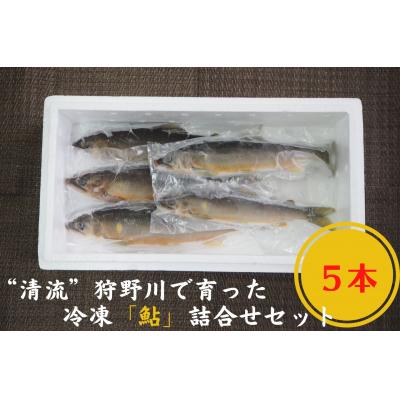 ふるさと納税 伊豆市 【先行受付!8月順次発送】”清流”狩野川で育った冷凍「鮎」5本詰合せセット