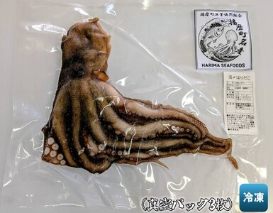 播磨町産活け〆はりだこ 3匹 タコ 海鮮 魚介類 瀬戸内 兵庫県 播磨町